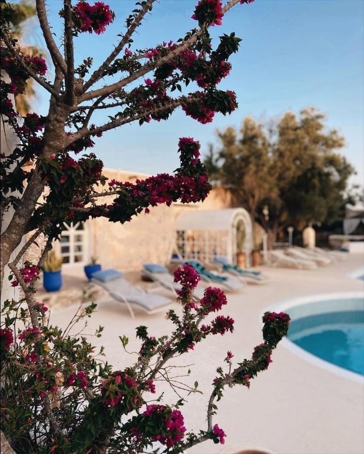 Out Of Medina Bed & Breakfast Есувейра Екстериор снимка